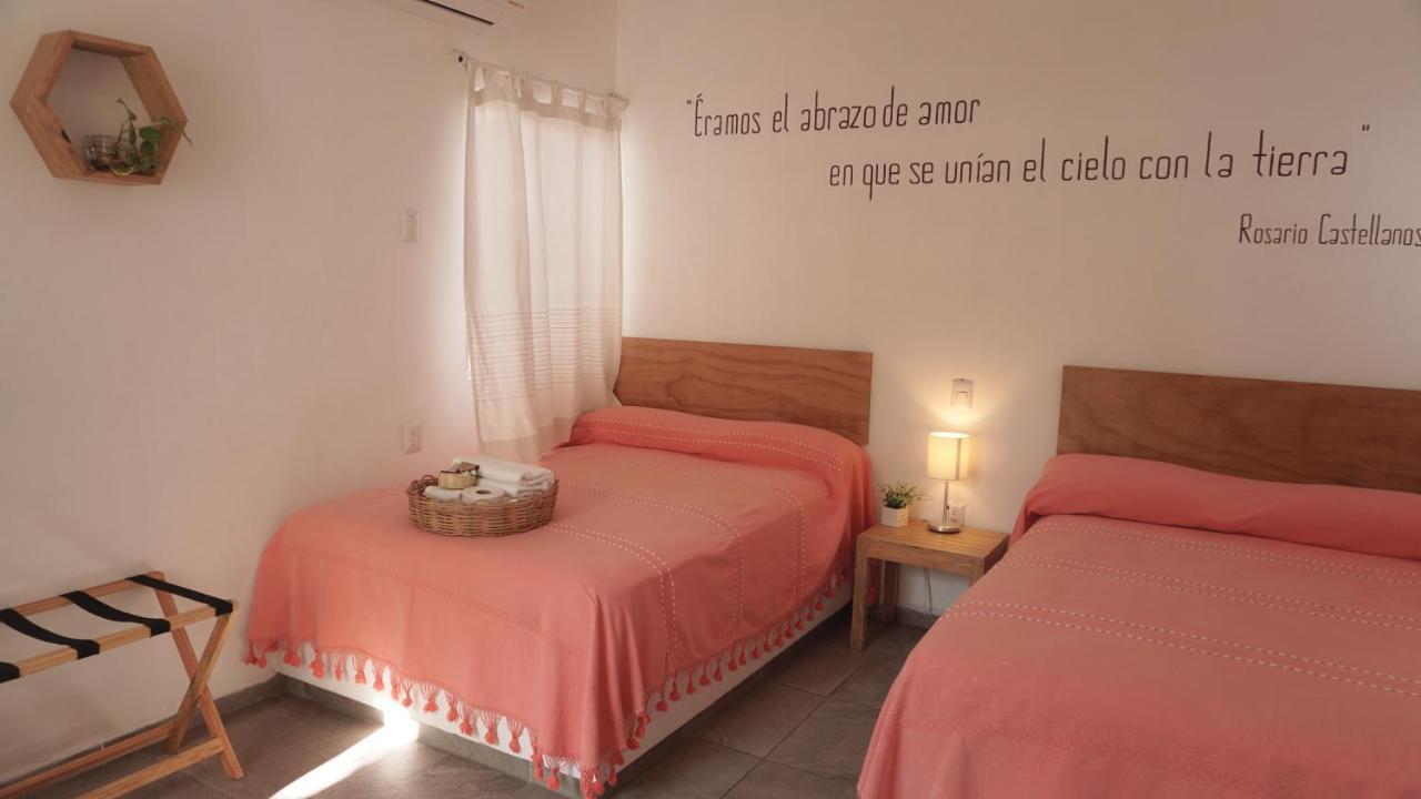 Amorcito Corazon Hotel & Hostal 图卢姆 外观 照片