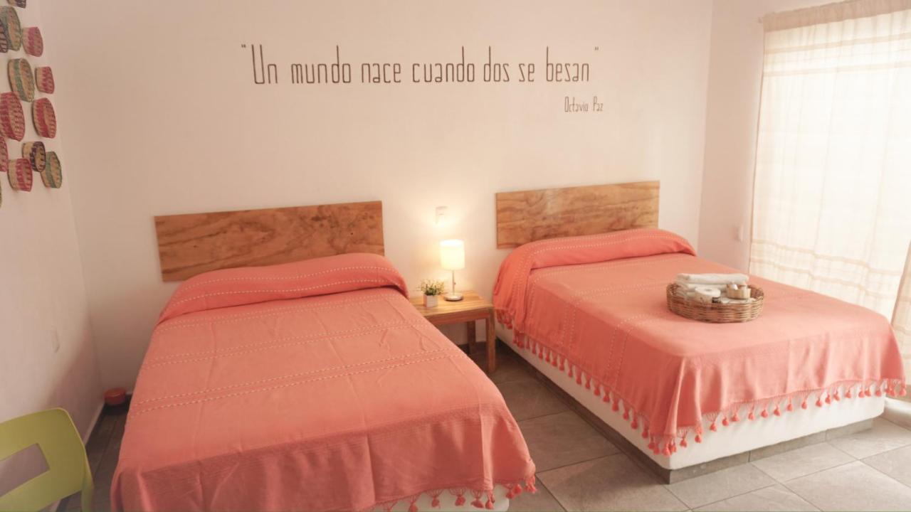 Amorcito Corazon Hotel & Hostal 图卢姆 外观 照片
