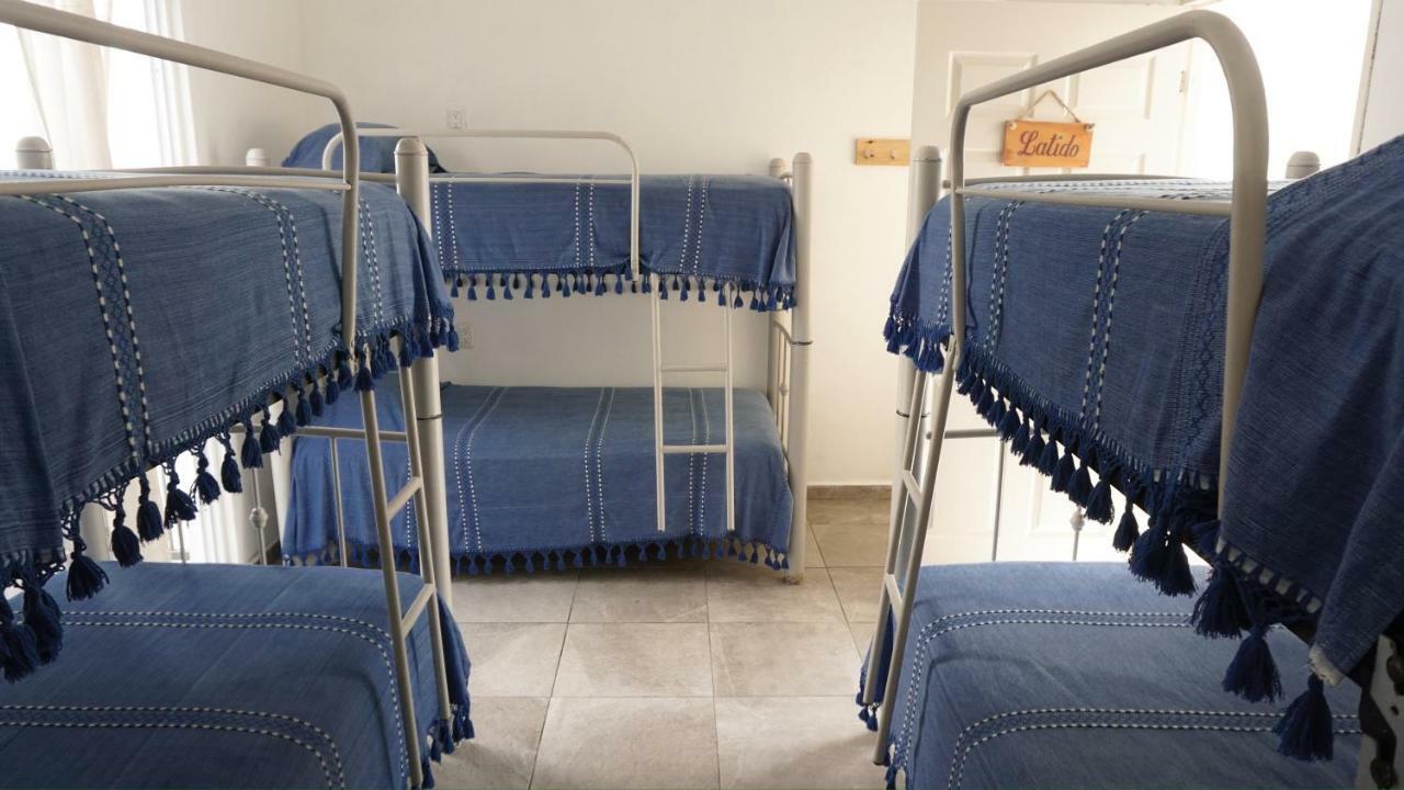 Amorcito Corazon Hotel & Hostal 图卢姆 外观 照片