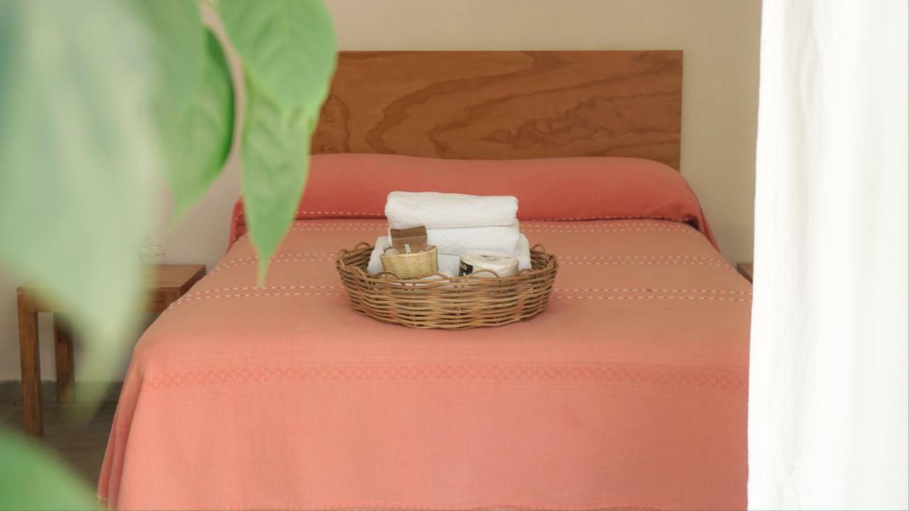 Amorcito Corazon Hotel & Hostal 图卢姆 外观 照片